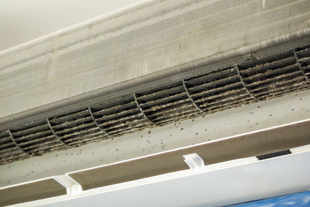 Best Home Air Vent Cleaning  in Ogden, IA